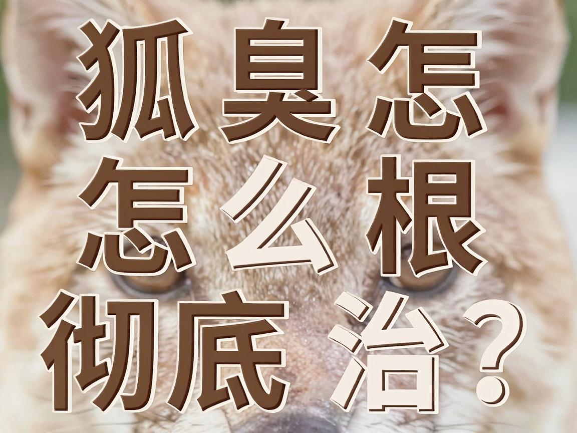 狐臭怎么彻底根治？这3个方法告诉你狐臭怎么根治才靠谱